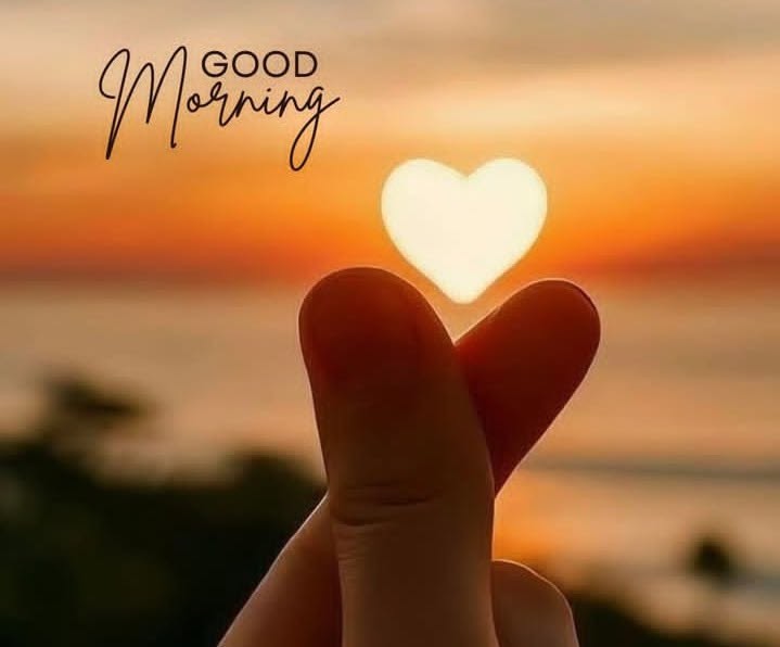 Wishing you a very good morning. filled your day with joy and happiness .
Good Morning☀