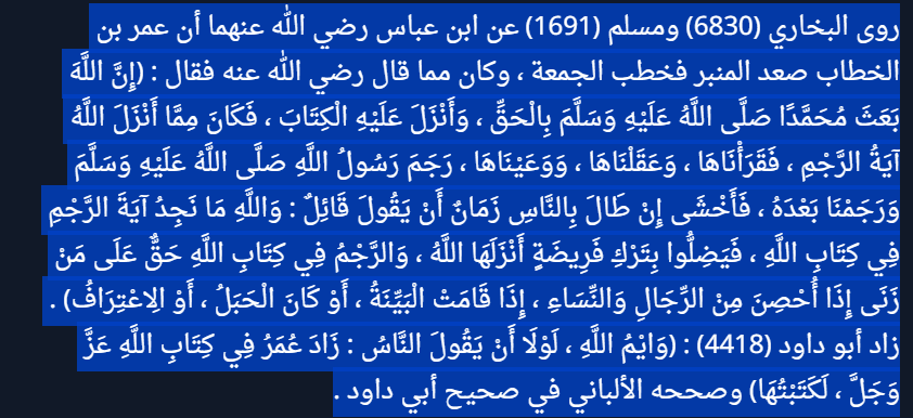 mohamed alaa elzanaty tweet media