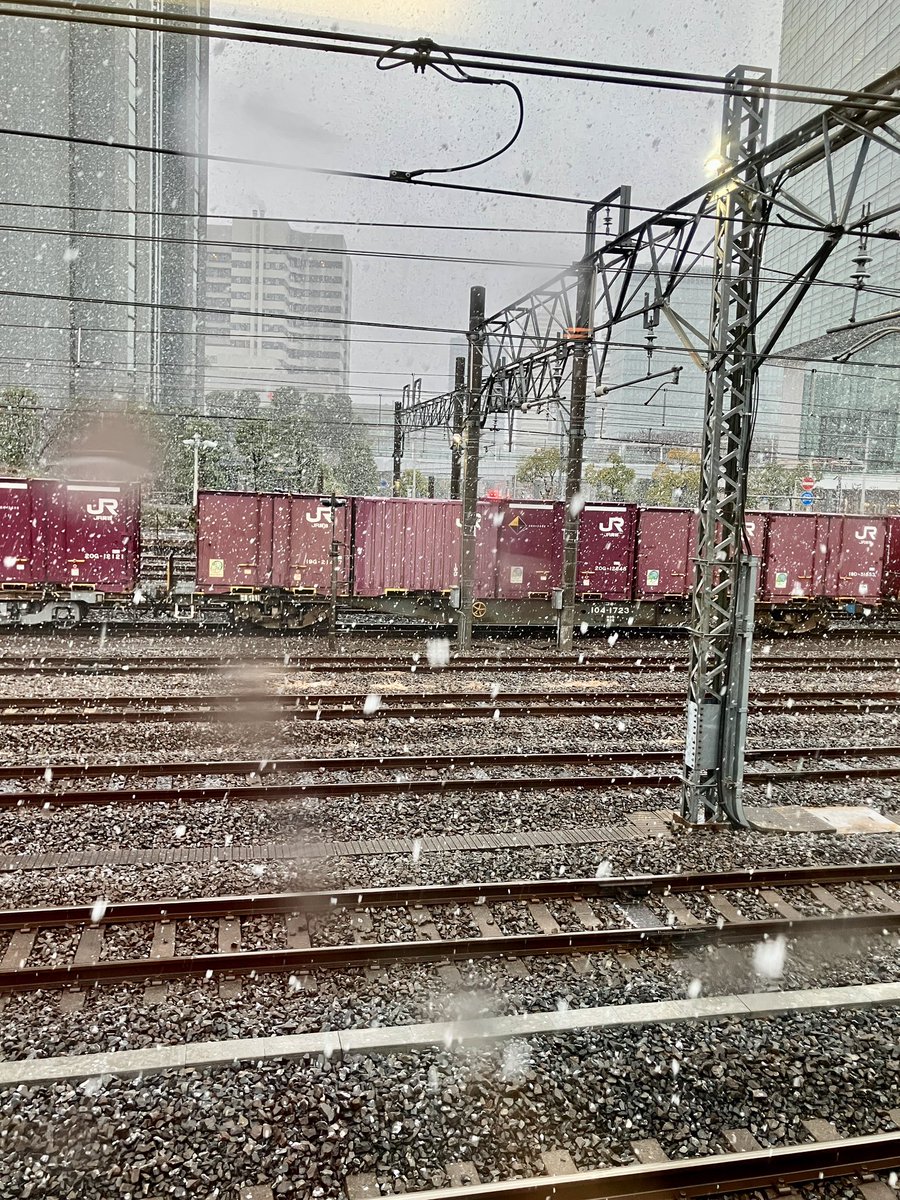 埼玉某所は雪❄️