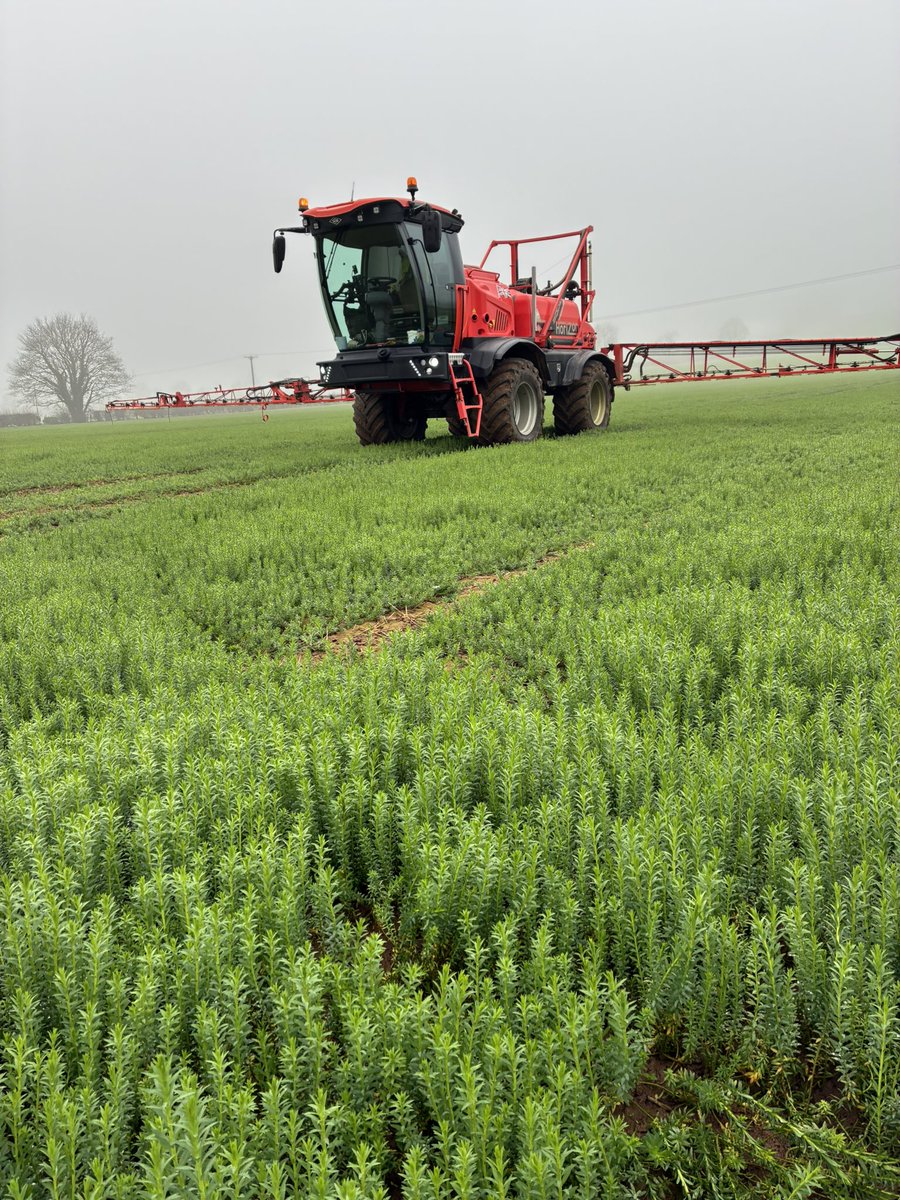 Alastair Baseley tweet media