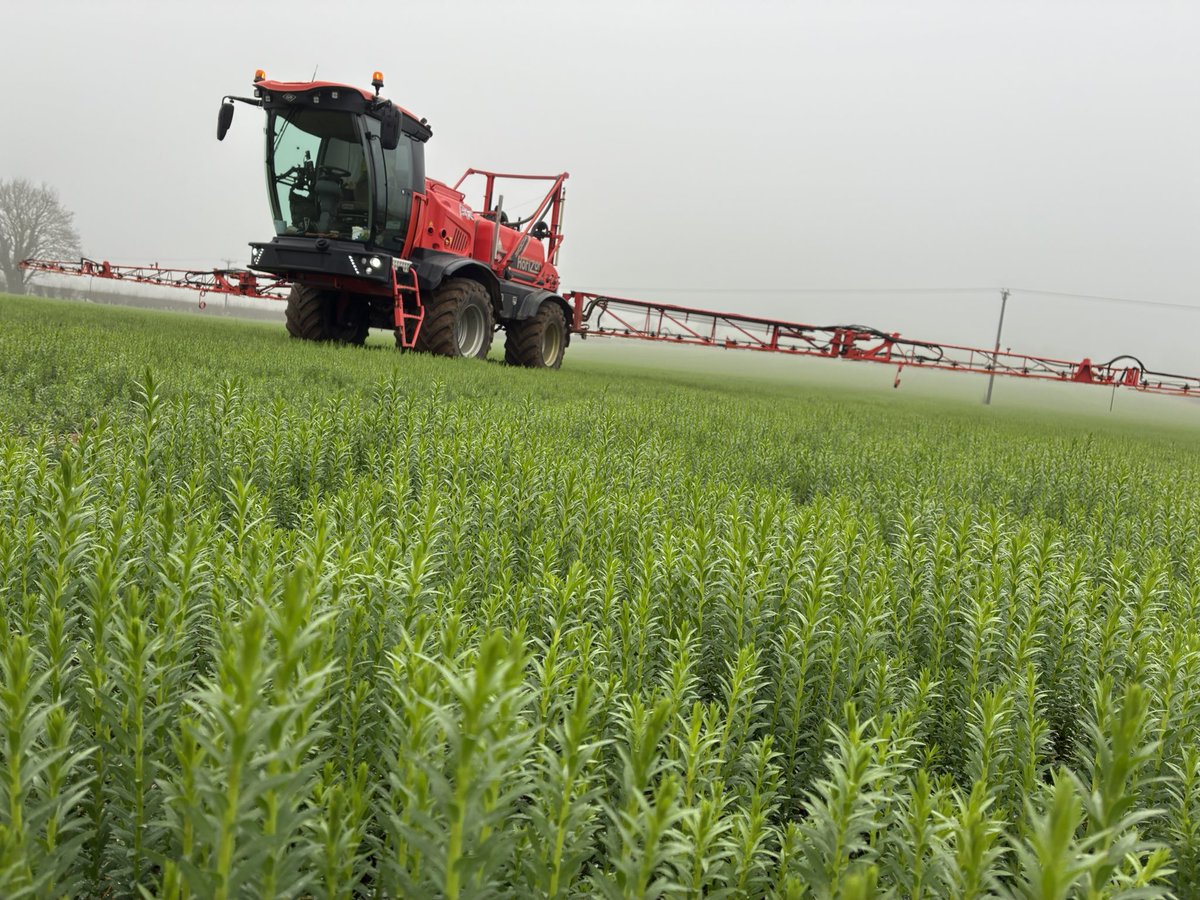 Alastair Baseley tweet media