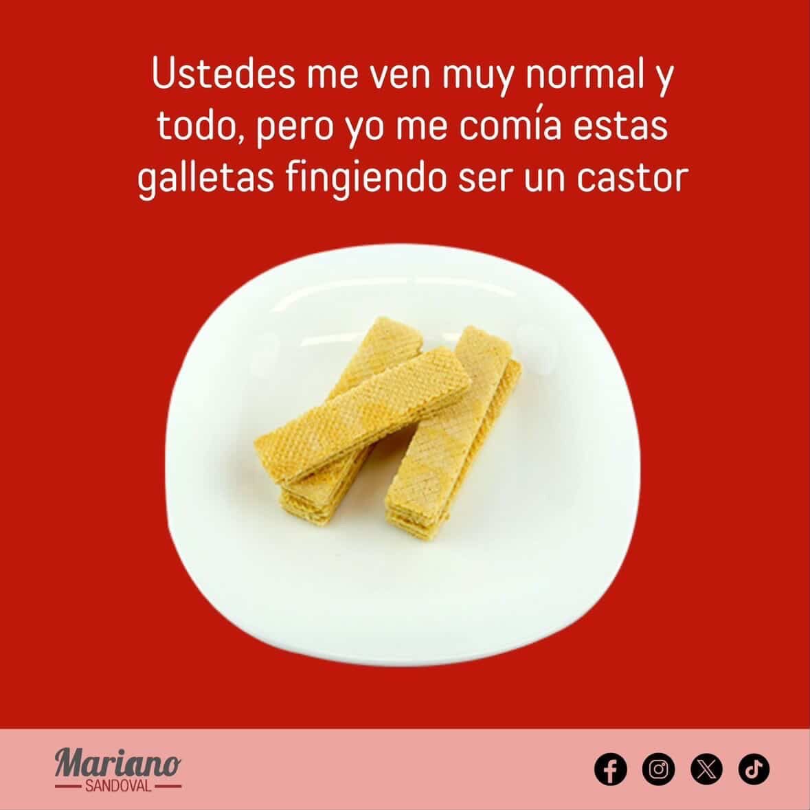 Mariano Sandoval tweet media