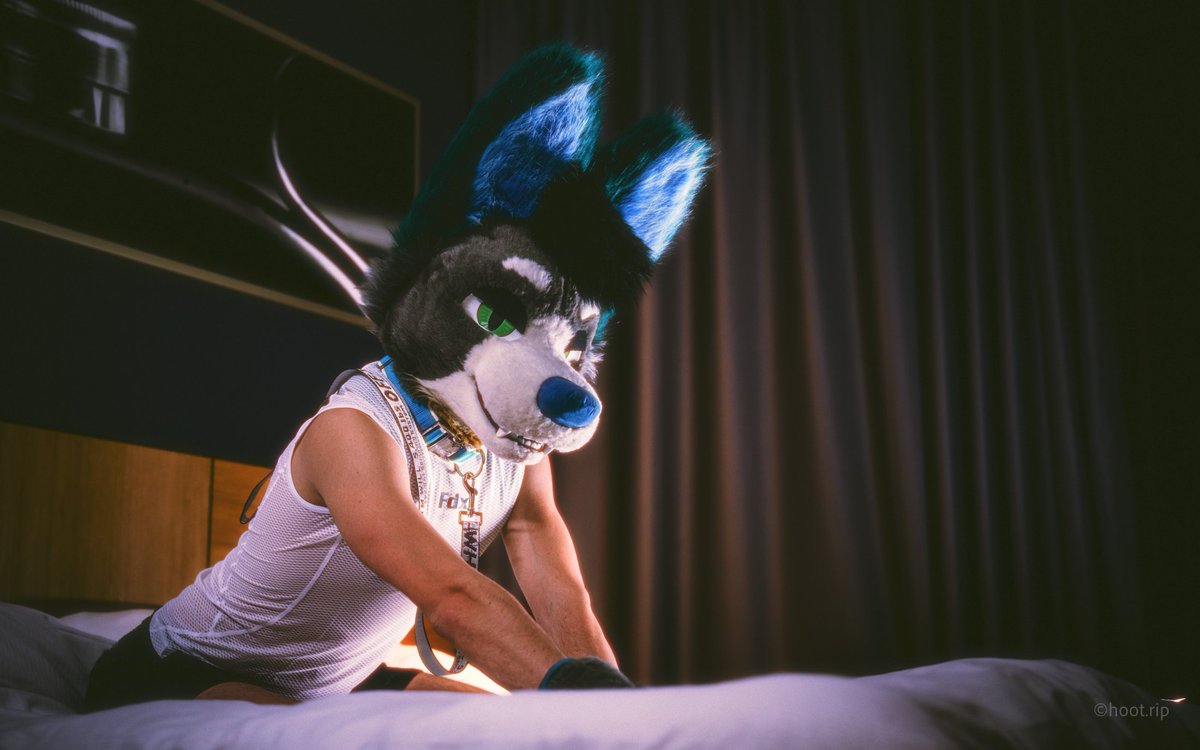 Cyon 🔜 NFC tweet media