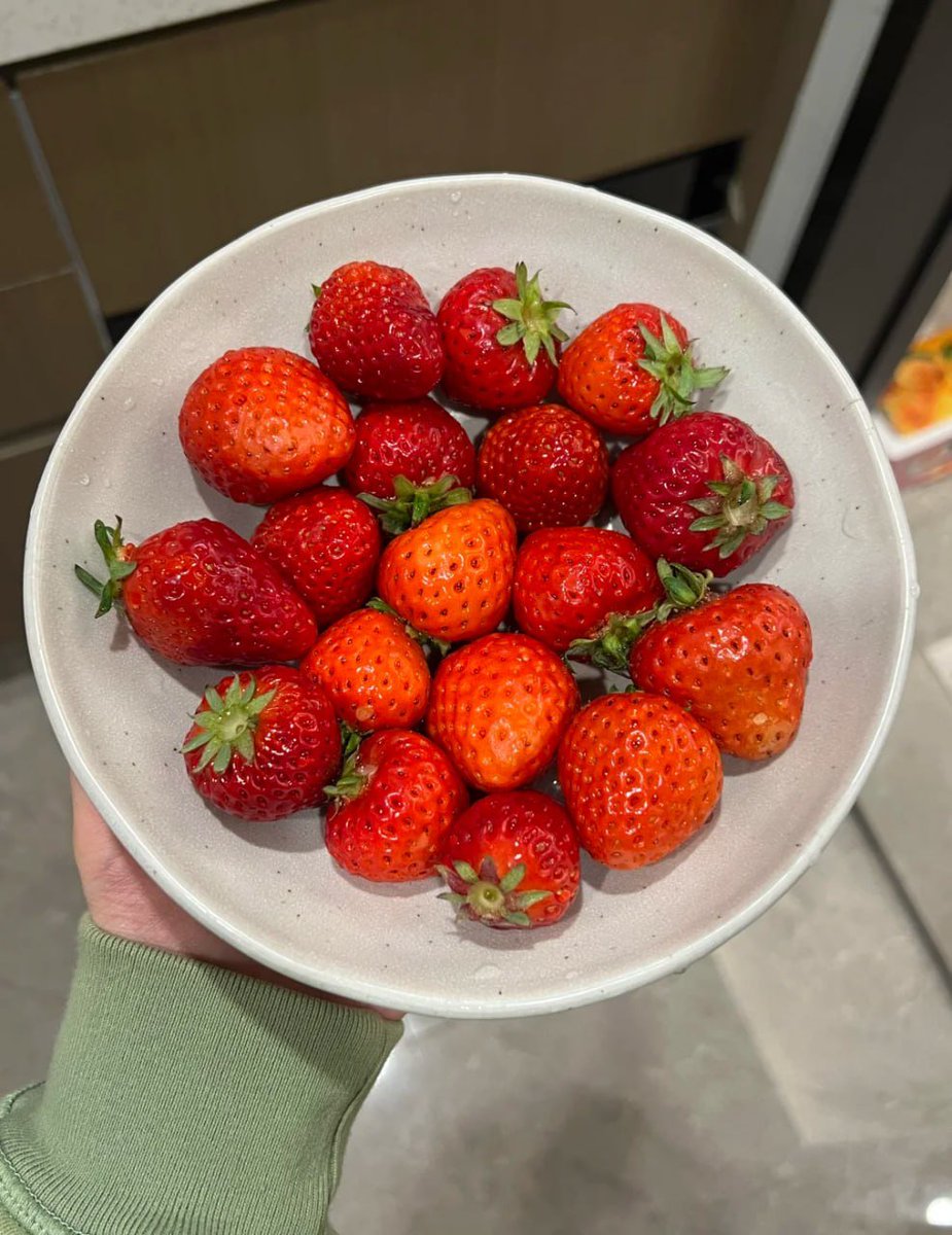 hassantoke's tweet photo. Berry delicious lunch 🍓❤️ Can't get enough of these sweet treats https://t.co/5Ct72RxQBv