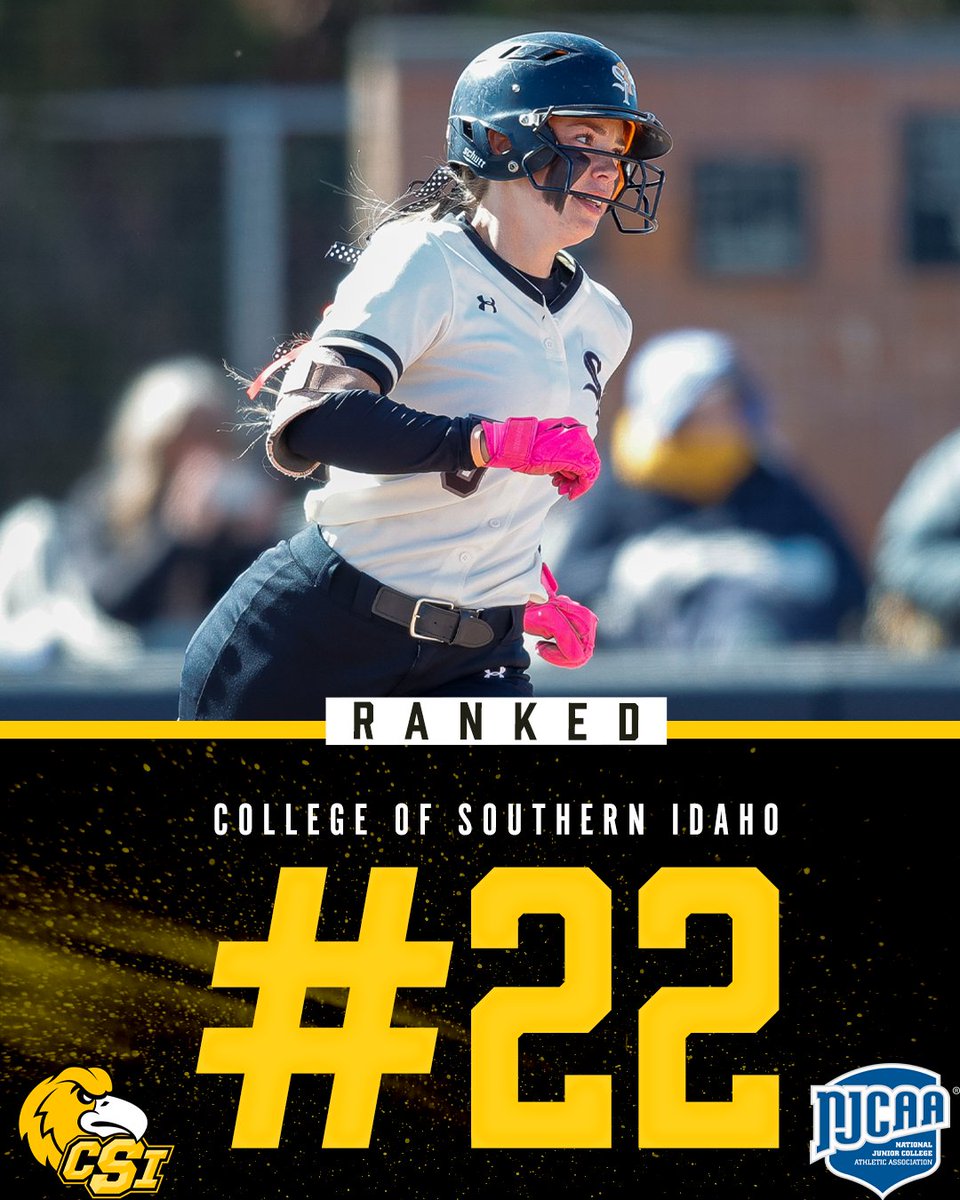 CSI Softball tweet media