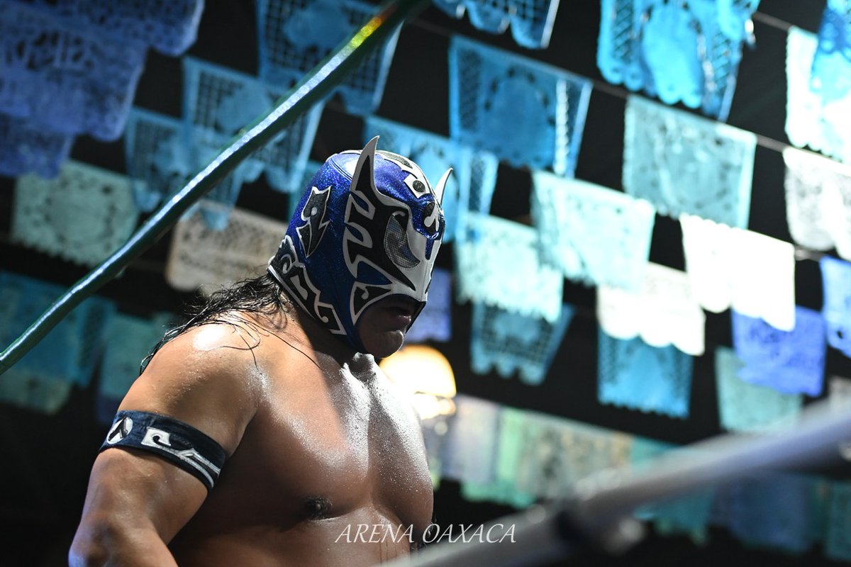 luchalucha🇲🇽 tweet media