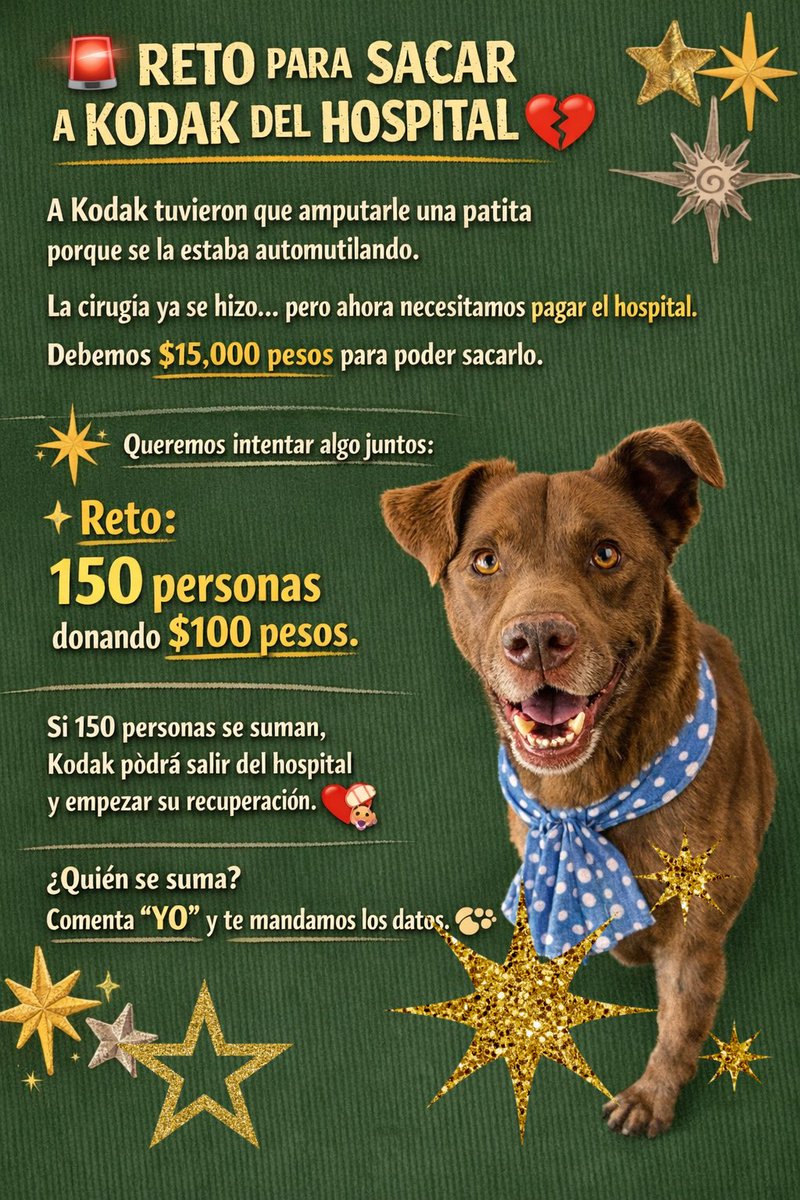 Amigos, 
No hemos sido escuchados aún con este tema.
 Kodak ya pasó por la cirugía.
Perdió una patita… pero ganó la oportunidad de seguir viviendo. ❤️‍🩹🐶

Ahora solo necesitamos sacarlo del hospital, pero tenemos una deuda de $15,000 pesos.

Por eso lanzamos este reto:
150