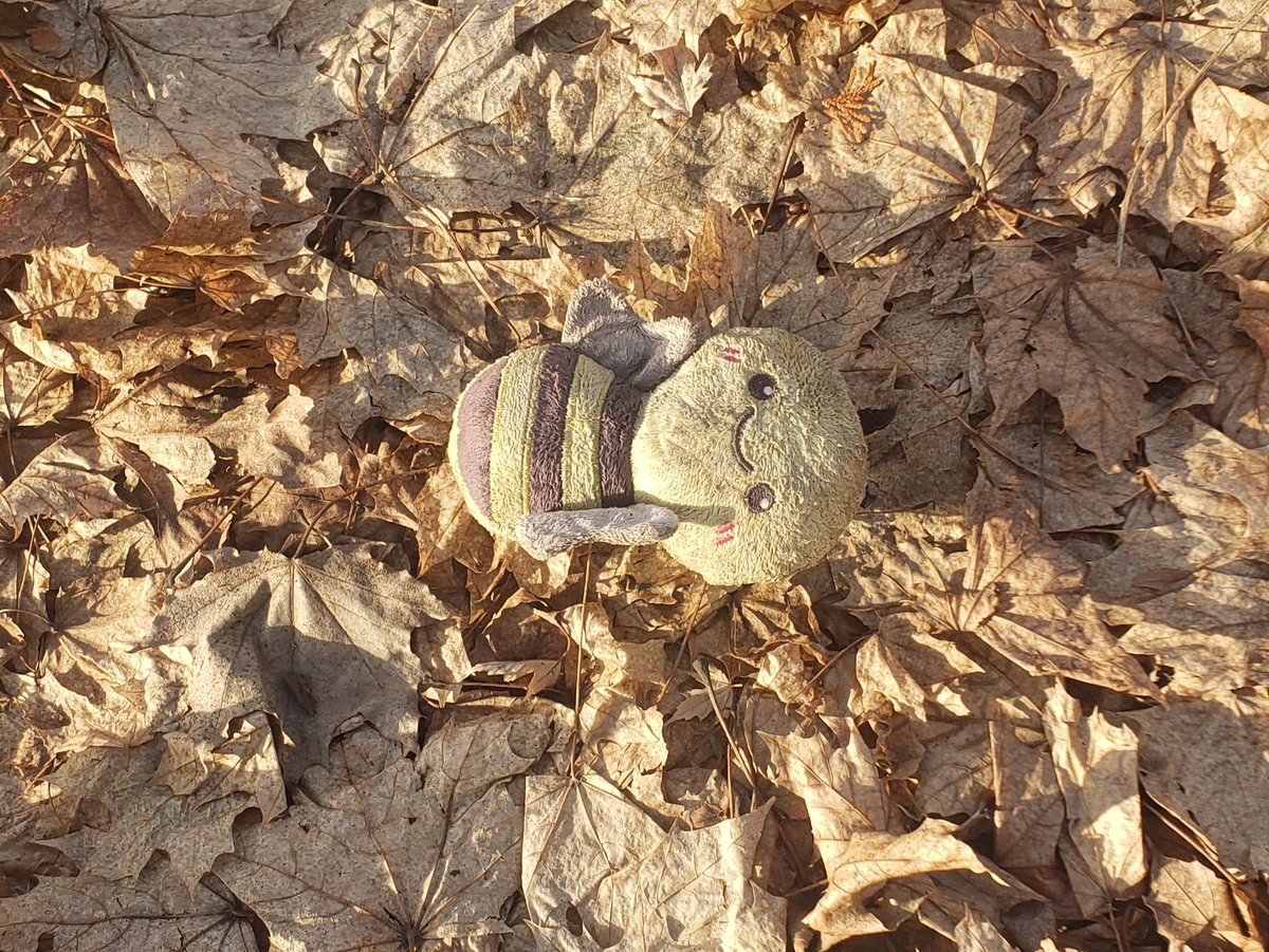 Paul Merrill tweet media