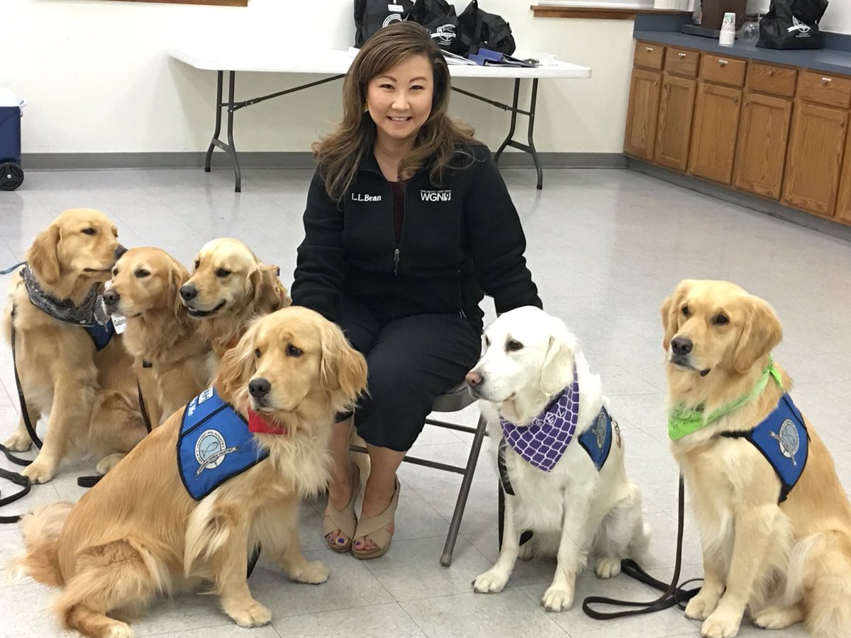 Judy Wang tweet media