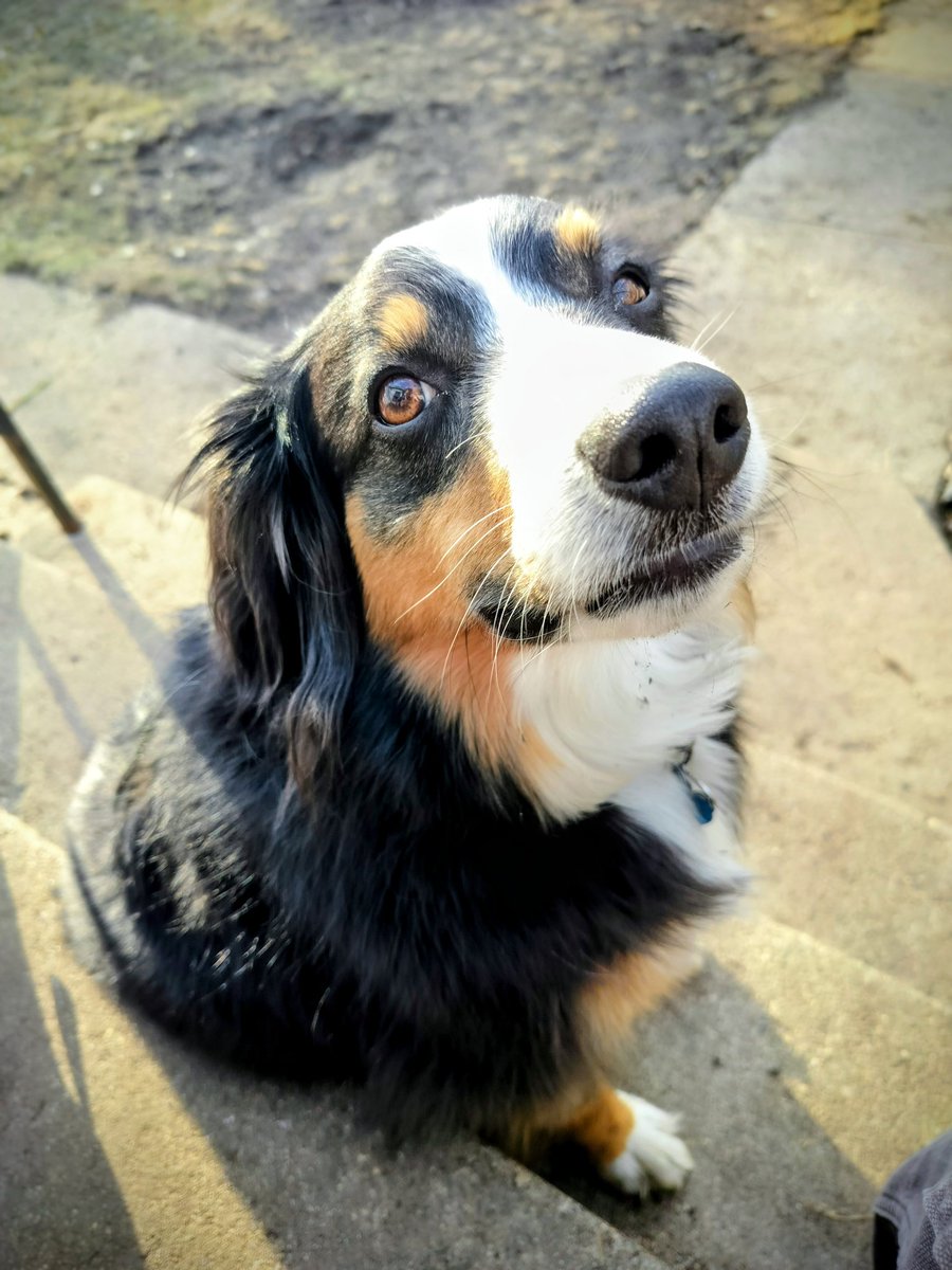 Lou Hennessy tweet media