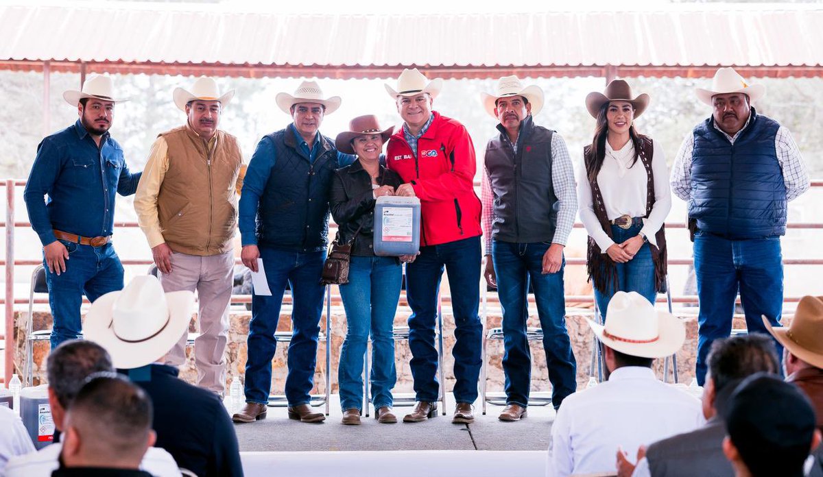 EVillegasV's tweet photo. En Otinapa, junto al alcalde @josejoseantonio, apoyamos a ganaderos con revisión de vientres, diagnóstico de preñez, inseminación artificial y mejora genética del ganado 🐄

Esto ayuda a tener mejor ganado, producir más y fortalecer la ganadería, una actividad que sostiene la economía y el trabajo de muchas familias en Durango 🌾🤝