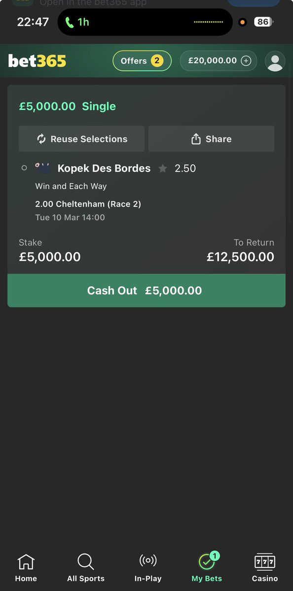 KB Horses tweet media