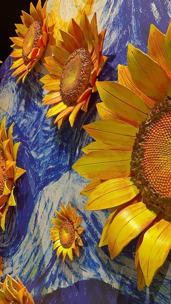 SUNFLOWER 🌻 tweet media