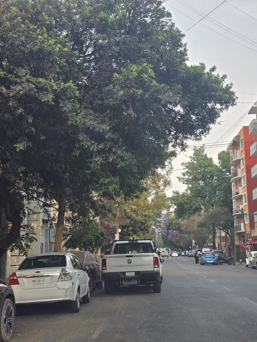 VecinosRomeroBJ's tweet photo. Apoyo para quitar autos estacionados en doble fila en calle Romero 115, esquina castilla en col. Niños heroes, Benito juarez, 03440 camioneta placas LTC 804C @UCS_GCDMX @AccionesBJ @SSC_CDMX https://t.co/HdFeVhj7C6