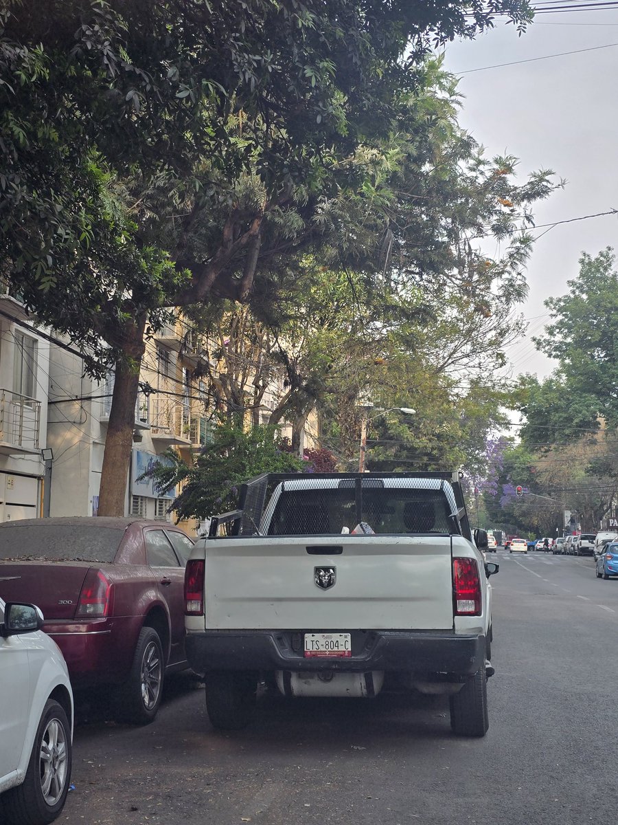 VecinosRomeroBJ's tweet photo. Apoyo para quitar autos estacionados en doble fila en calle Romero 115, esquina castilla en col. Niños heroes, Benito juarez, 03440 camioneta placas LTC 804C @UCS_GCDMX @AccionesBJ @SSC_CDMX https://t.co/HdFeVhj7C6