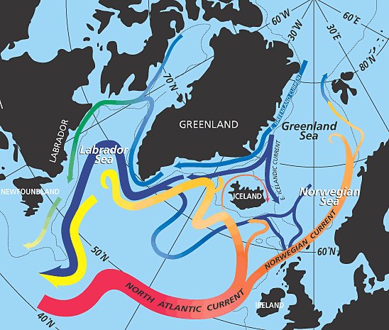 In the subpolar gyre of the North Atlantic warm subtropical waters are transformed into colder subpolar and polar waters. In the Labrador Sea this water flows back to the subtropical gyre.