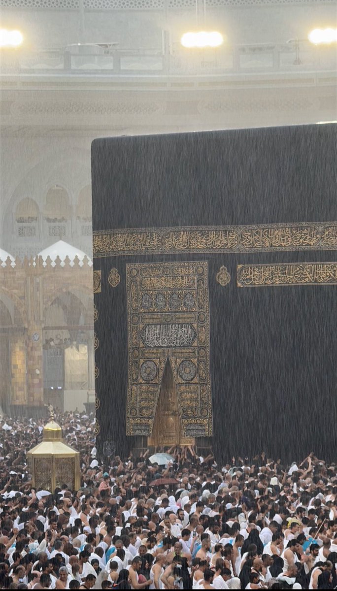 َََََ tweet media