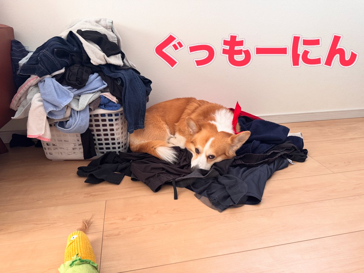 ユール・イェーガー tweet media
