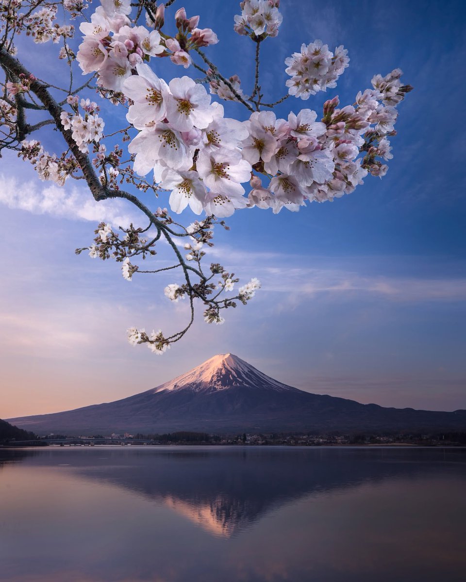 Mount Fuji, Japan 🇯🇵🌸
