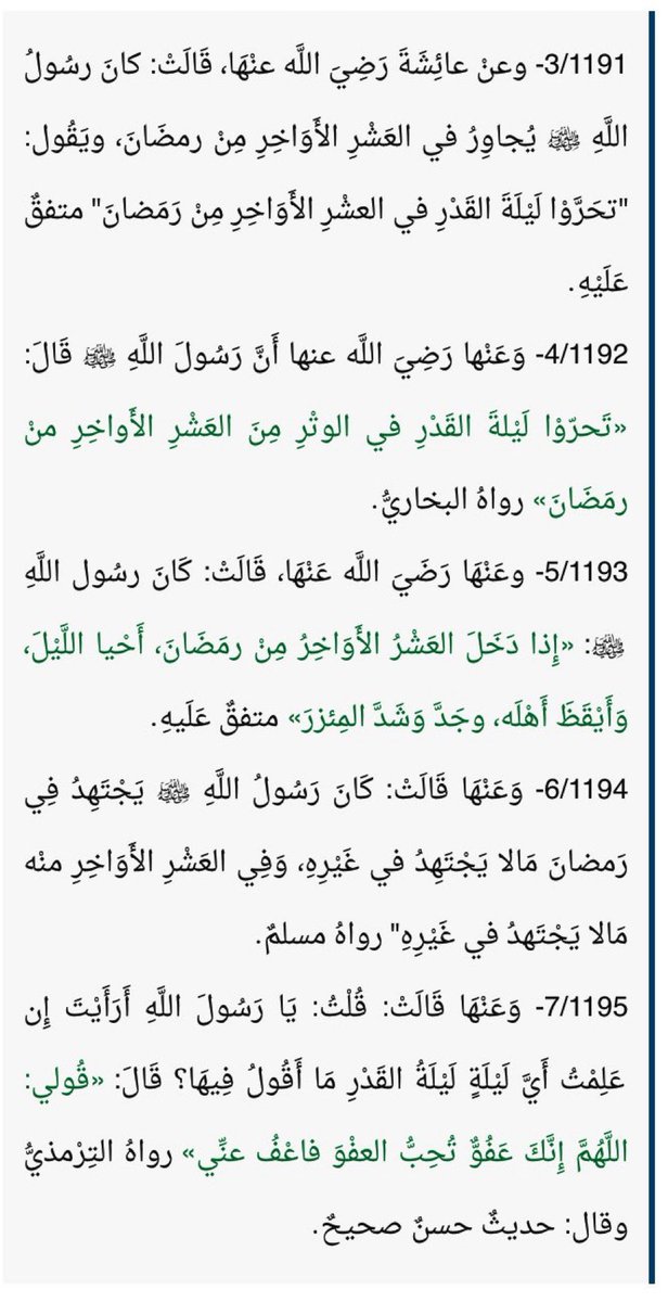 عمّار tweet media