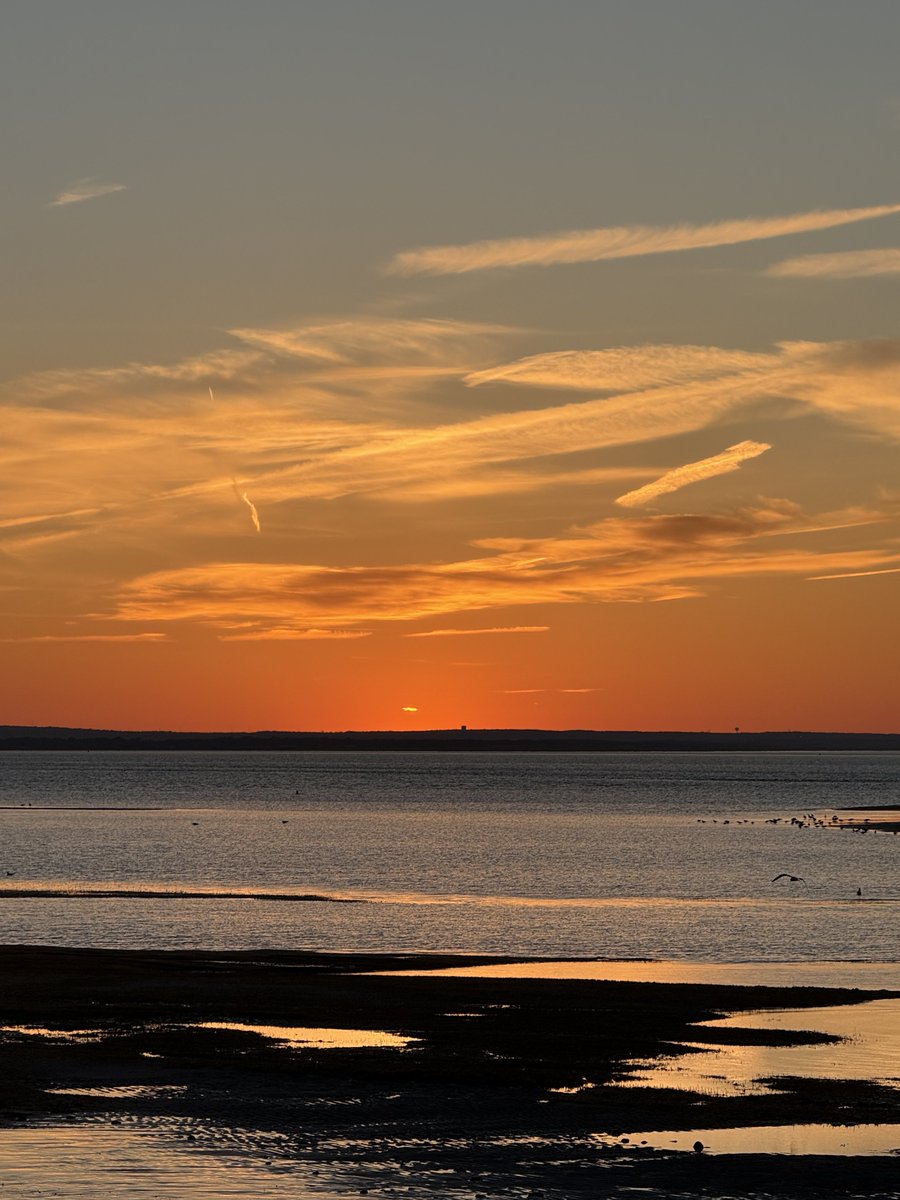 mmuhlfelder's tweet image. #capecodbay served up a #calmocean and a great excuse to get out of the office!