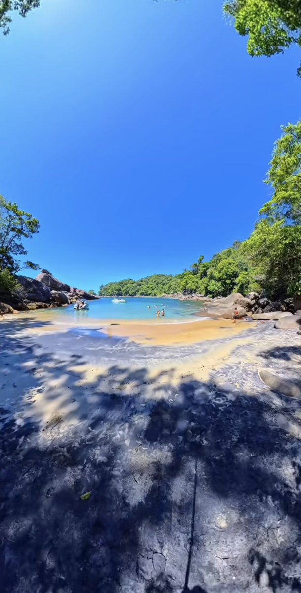 Bruno ♋️ tweet media