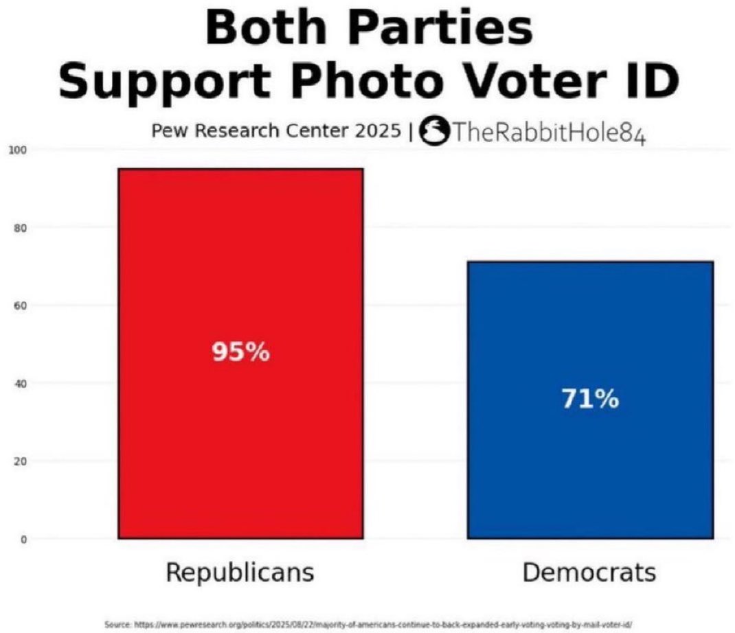 The Rabbit Hole tweet media