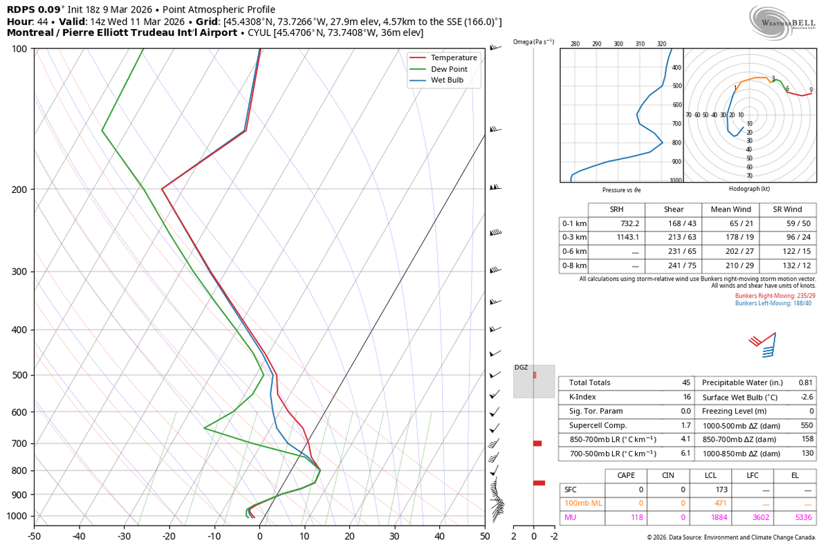 Ethan Sacoransky tweet media