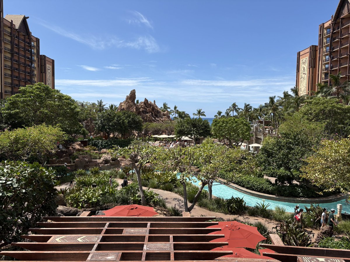 《VΛ》agent_solace tweet media