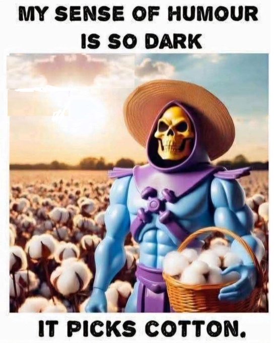 Monkeyjunk11 tweet media