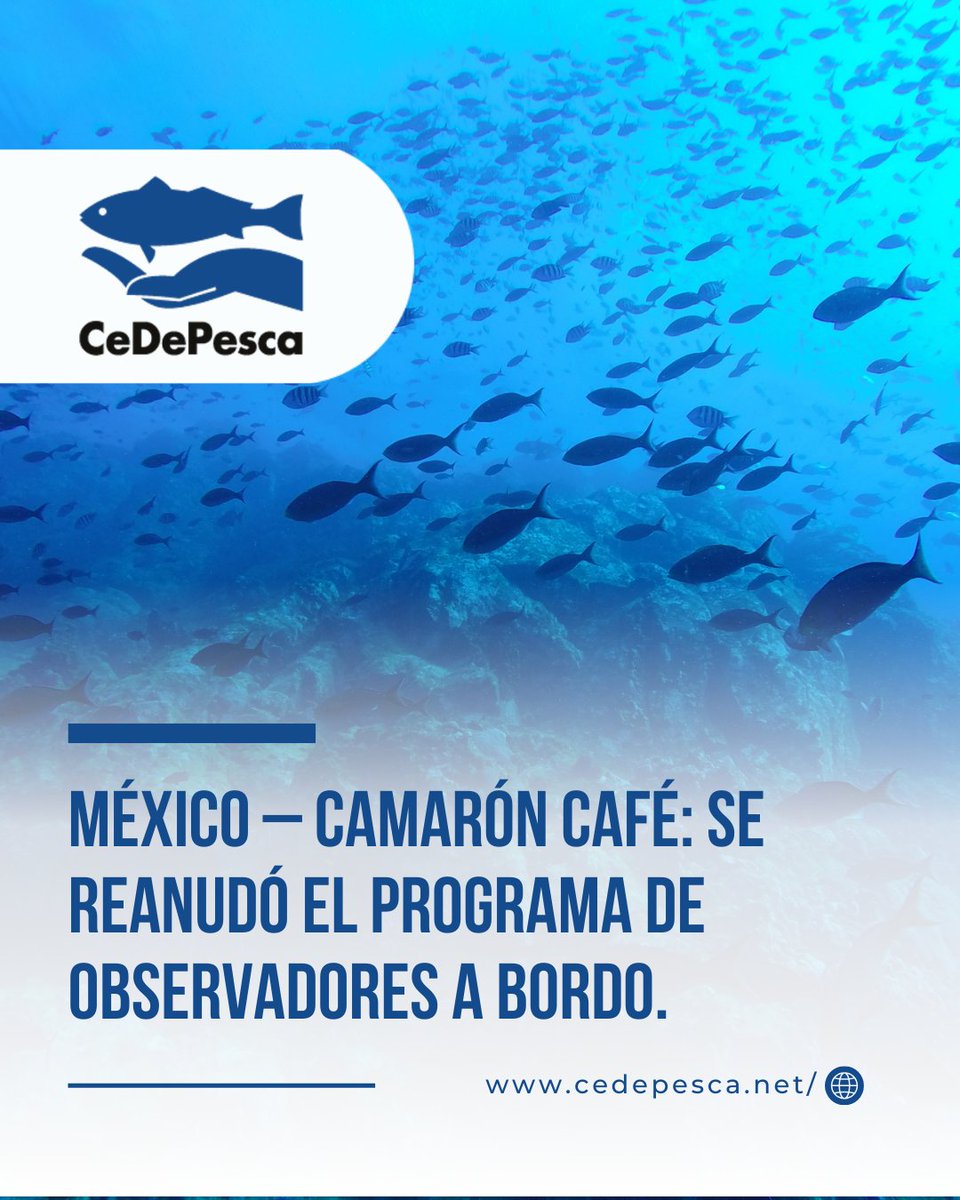 CeDePesca tweet media