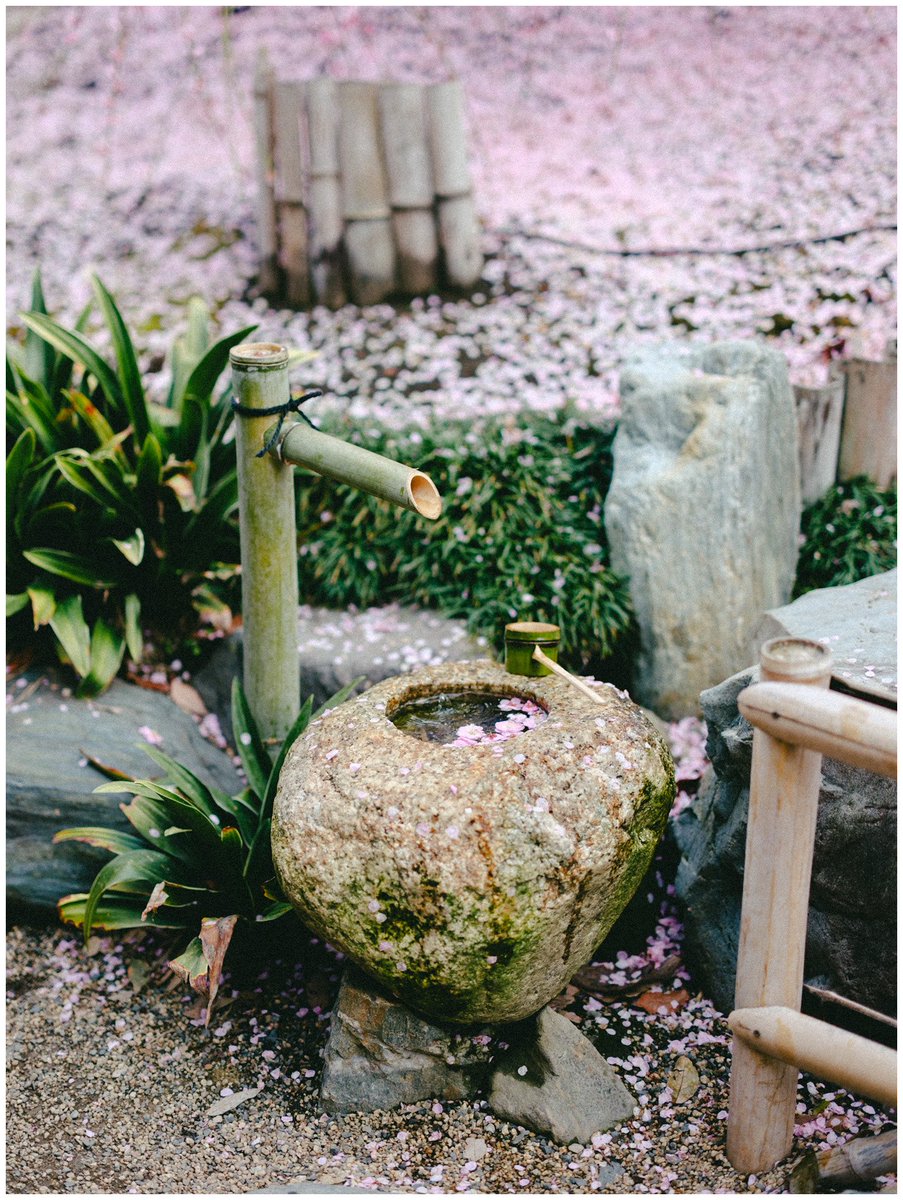 saisekai tweet media