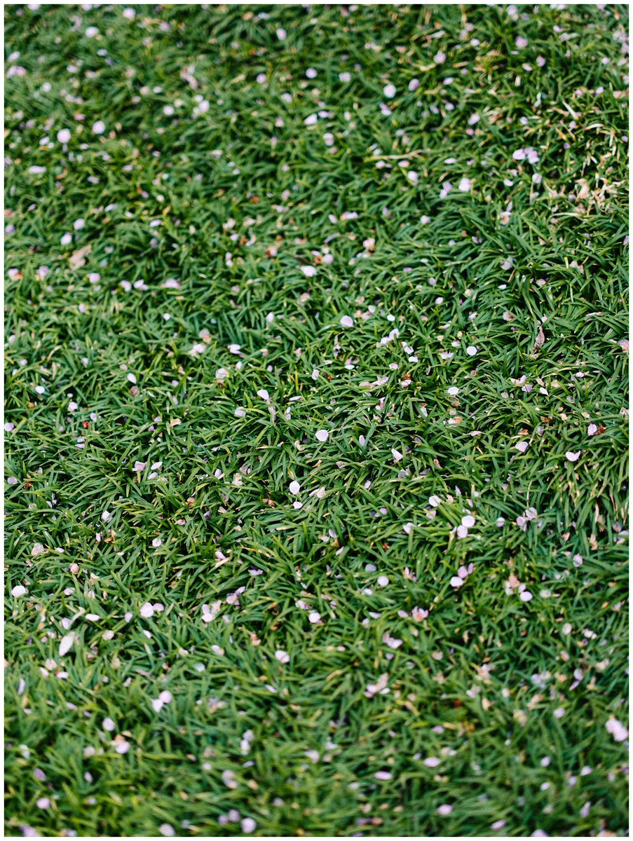 saisekai tweet media