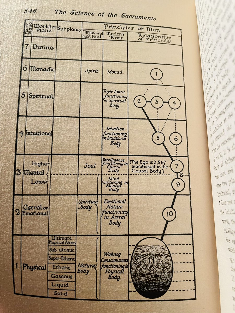 Theo Paijmans tweet media