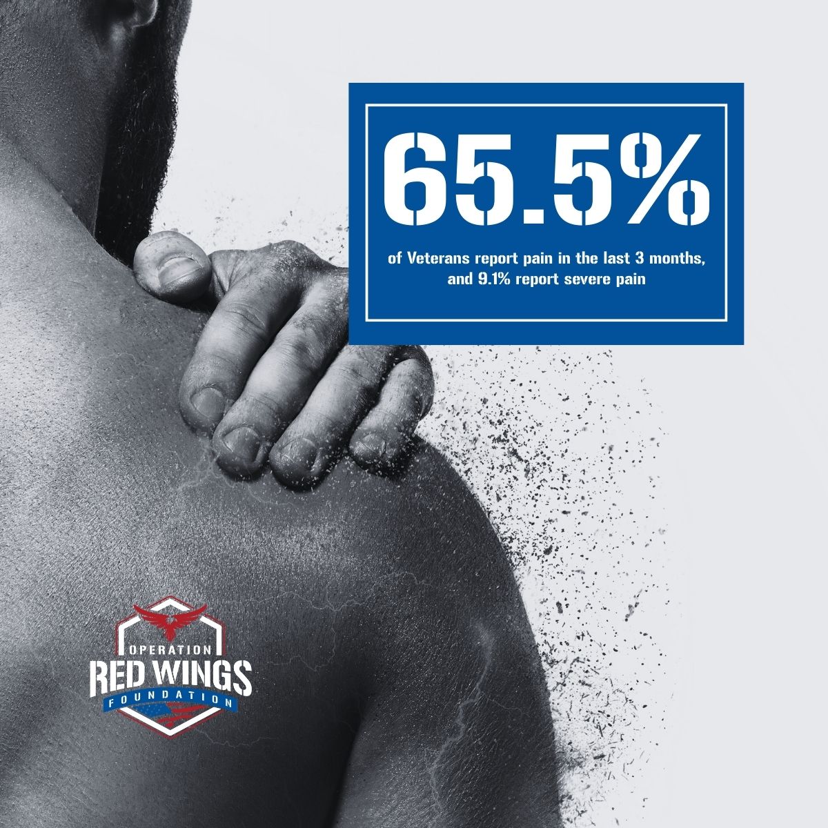 Operation Red Wings Foundation tweet media