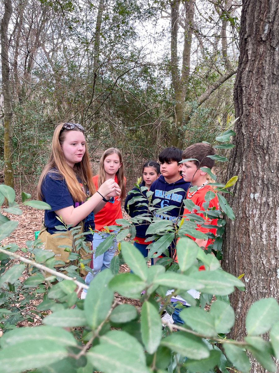 Cypress Christian tweet media