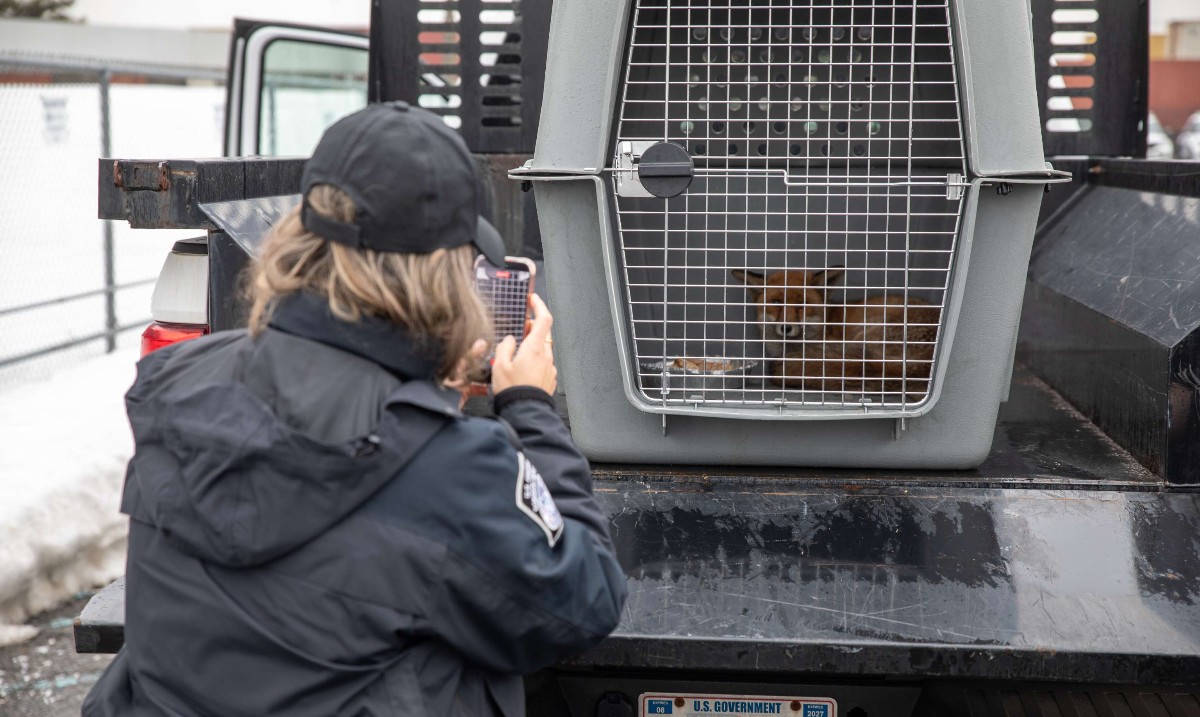 (A)Executive Asst. Commissioner Diane J. Sabatino tweet media