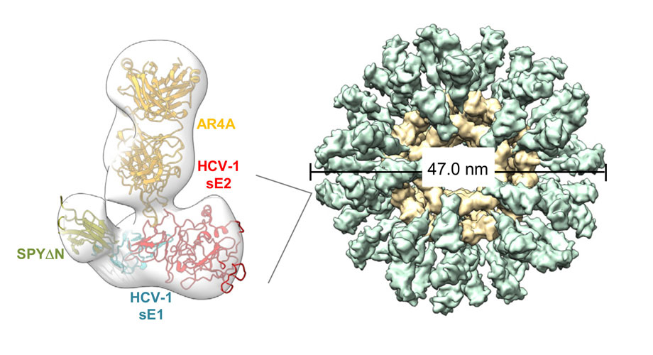 Scripps Research tweet media