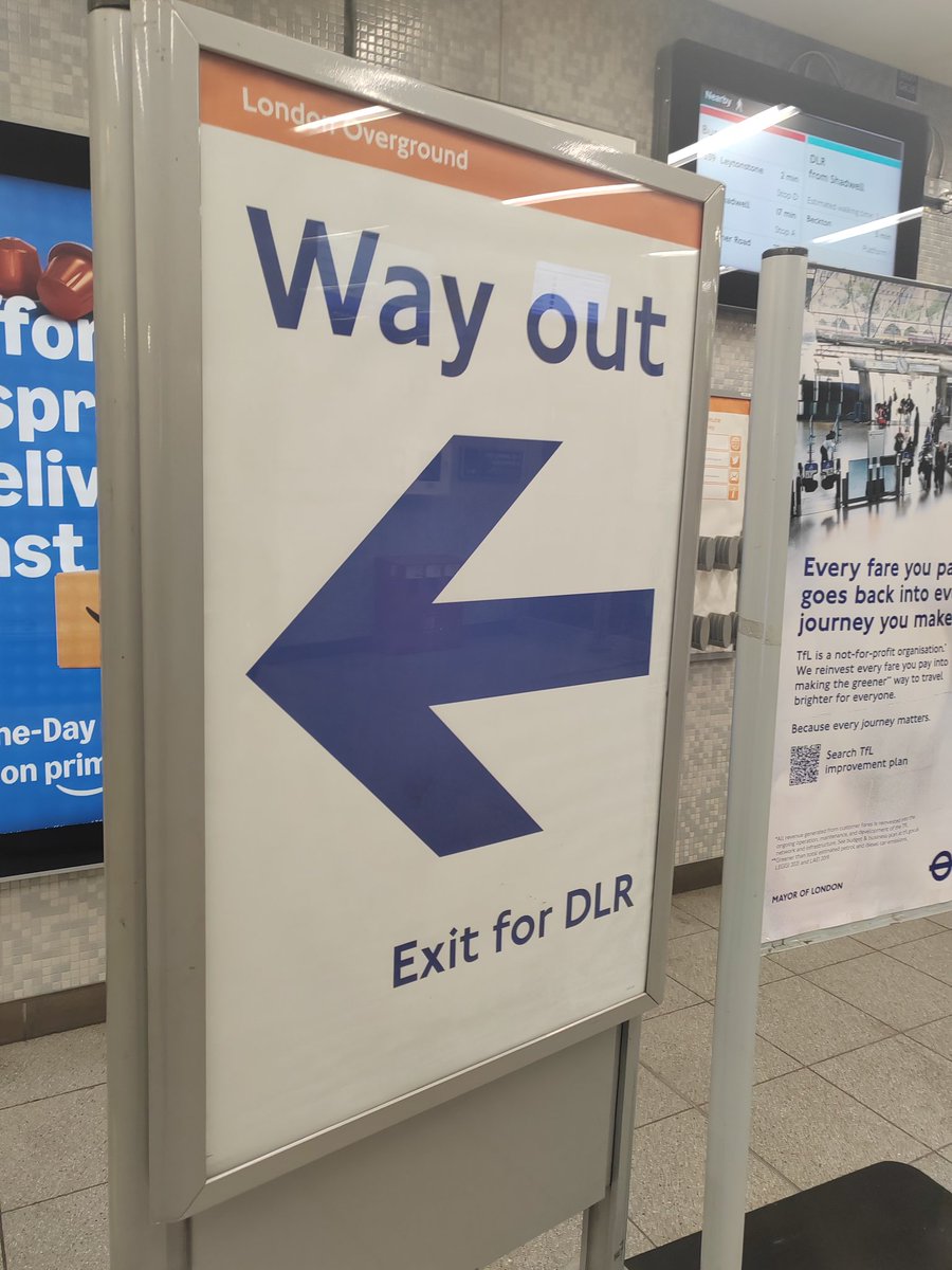 night brain tweet media