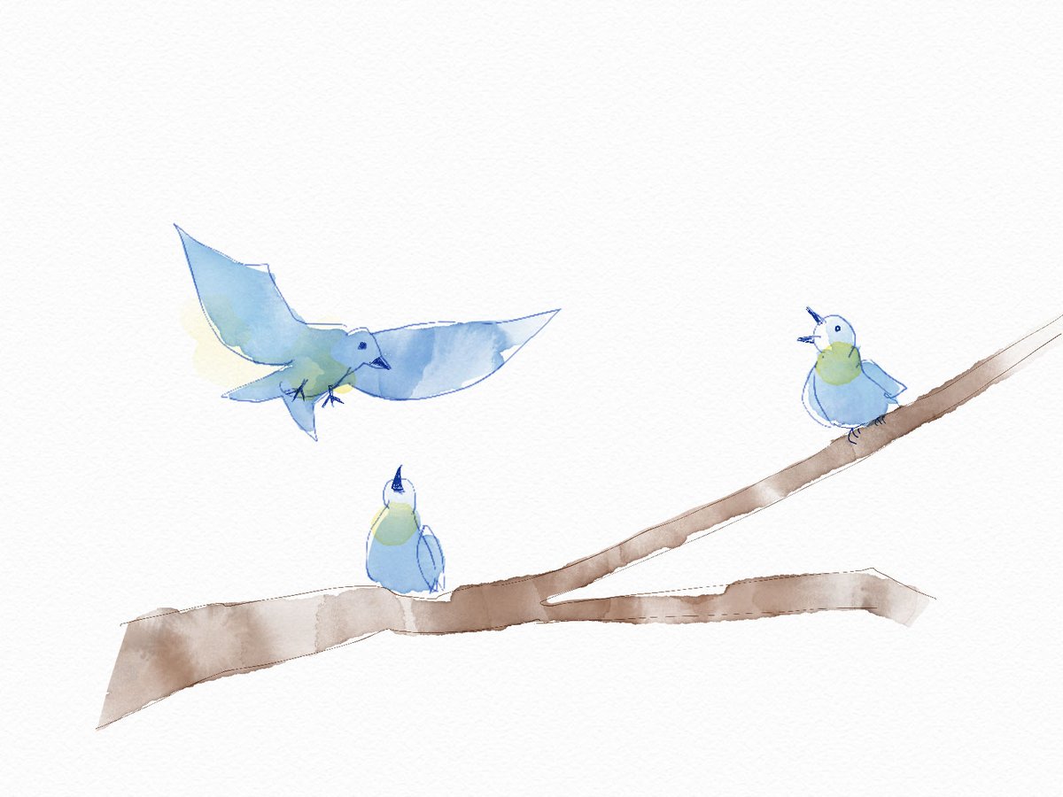 鳥たち