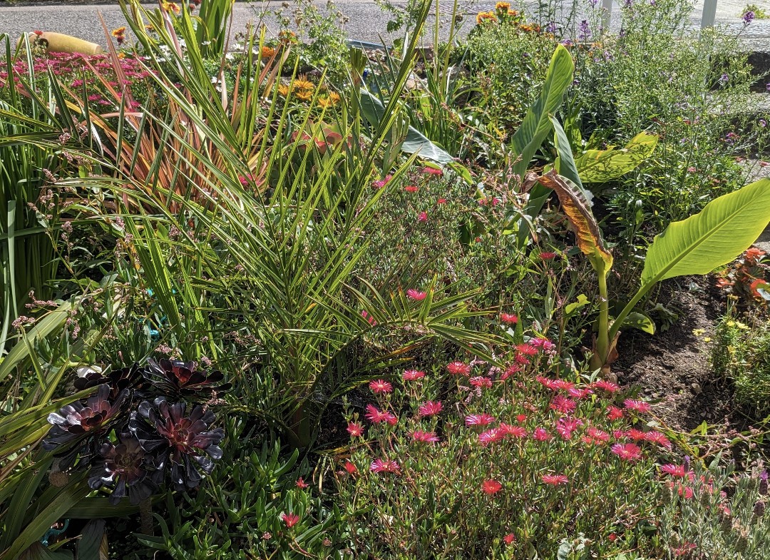 Official Weather UK ☀️ tweet media