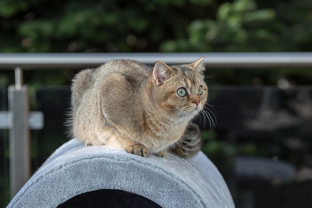 Keith Tank tweet media