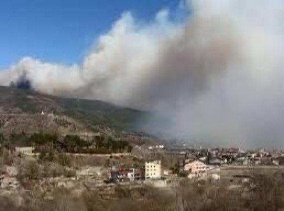 Albert Batalla i Siscart tweet media