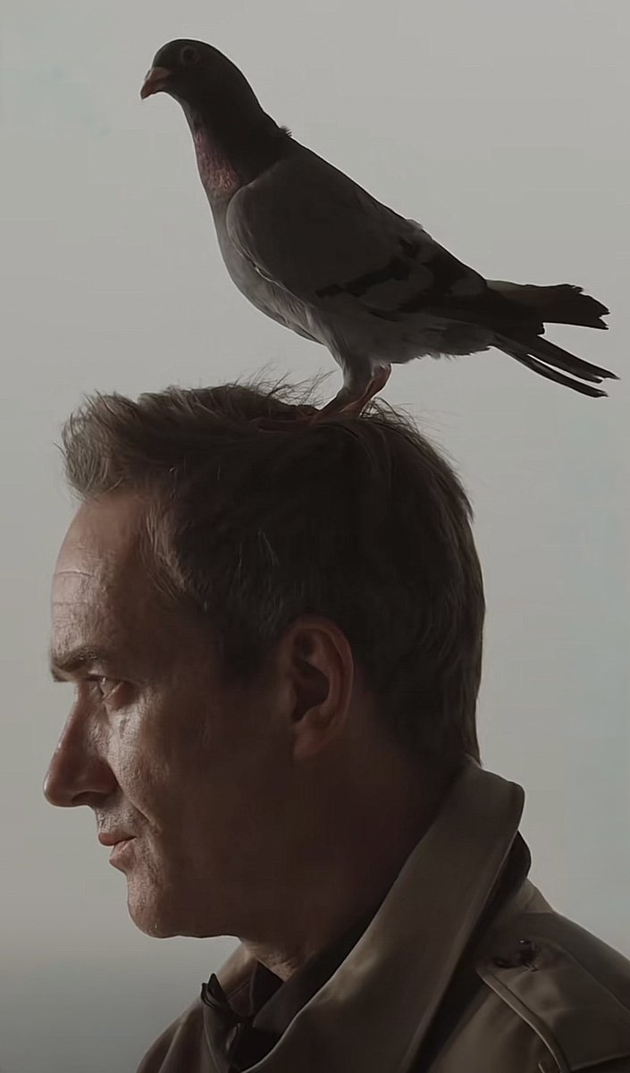 🔥Matthew Macfadyen Daily🔥 tweet media