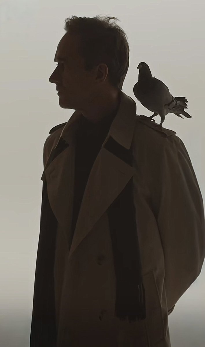 🔥Matthew Macfadyen Daily🔥 tweet media