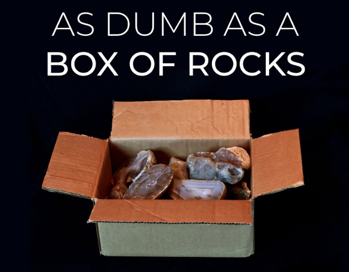 istersay 🌘 tweet media