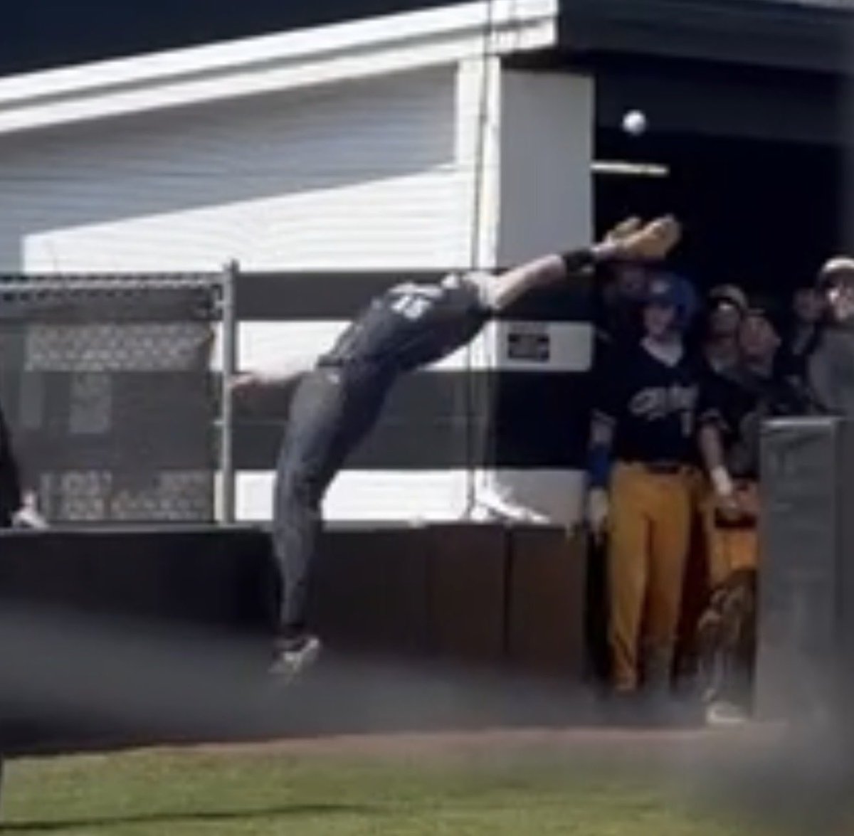 Max Kniesche tweet media