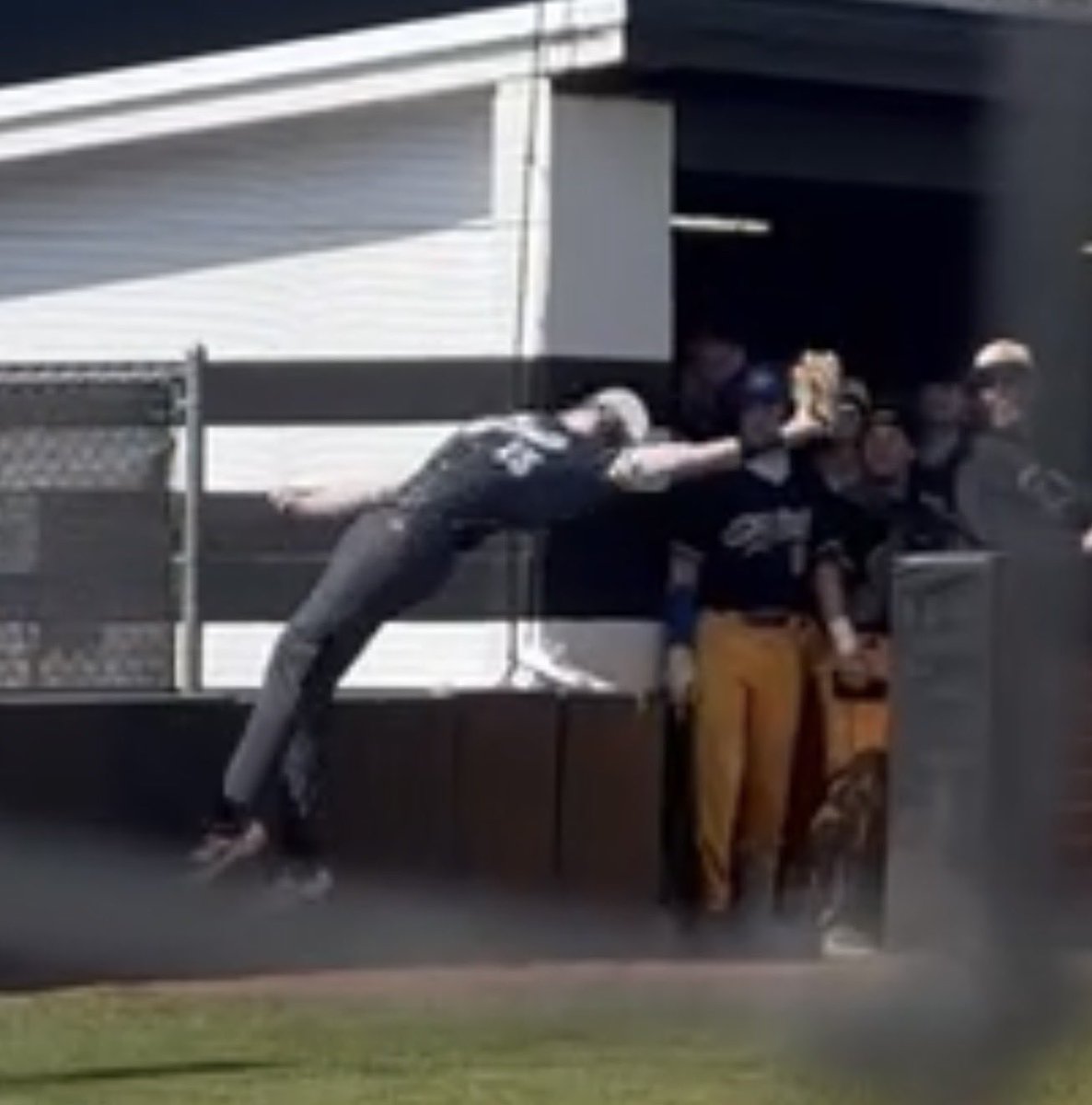 Max Kniesche tweet media