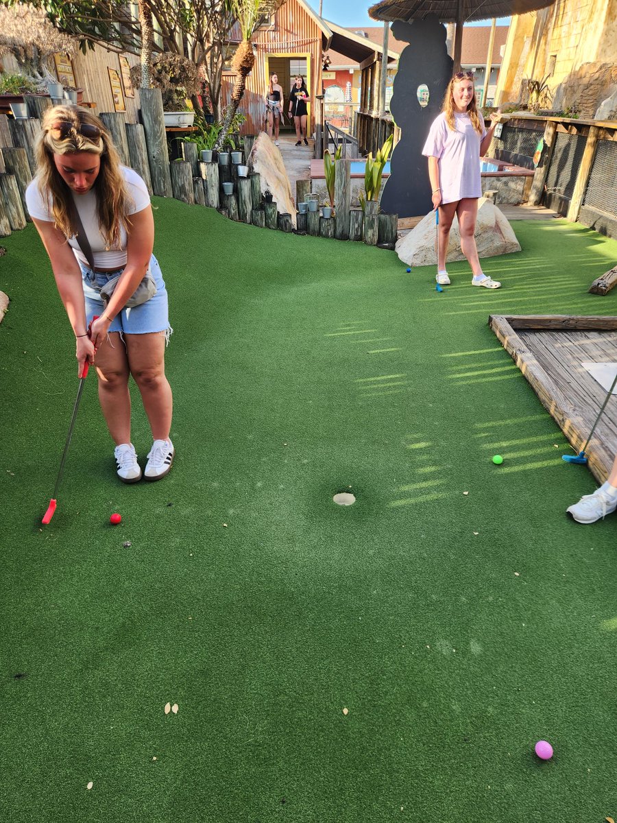 BW Softball tweet media