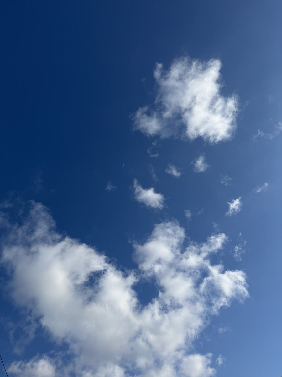 ぽむらん tweet media